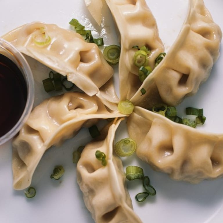 Savor Our Gyoza Delights