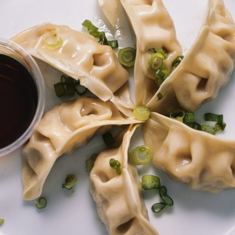 Savor Our Gyoza Delights